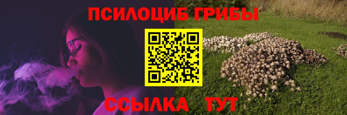 Клинцы  Галлюциногенные грибы Cubensis  Вход с VPN 